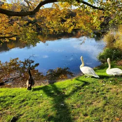 Frank Melville Memorial Park - Brookhaven