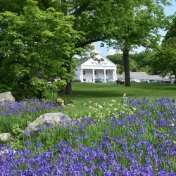 Stony Brook Village Center - Brookhaven