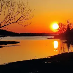 Stony Brook Village Center - Brookhaven