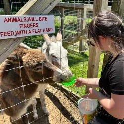 The Long Island Game Farm - Brookhaven