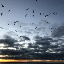 West Meadow Beach - Brookhaven