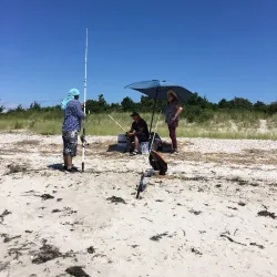 West Meadow Beach - Brookhaven