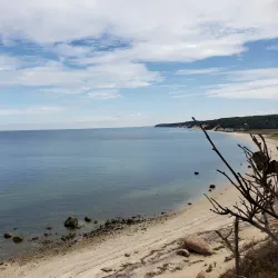 Wildwood State Park - Brookhaven
