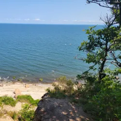 Wildwood State Park - Brookhaven