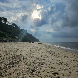 Wildwood State Park - Brookhaven