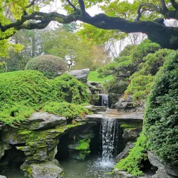 Brooklyn Botanic Garden - Brooklyn