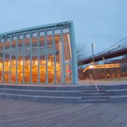 Jane's Carousel - Brooklyn