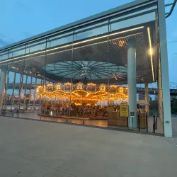 Jane's Carousel - Brooklyn