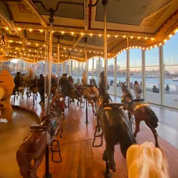 Jane's Carousel - Brooklyn