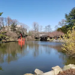 Prospect Park - Brooklyn