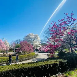 Prospect Park - Brooklyn