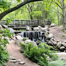 Prospect Park - Brooklyn