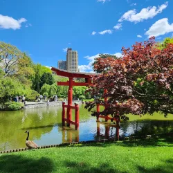 Prospect Park - Brooklyn