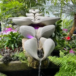 Buffalo and Erie County Botanical Gardens - Buffalo