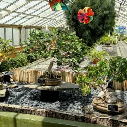 Buffalo and Erie County Botanical Gardens - Buffalo