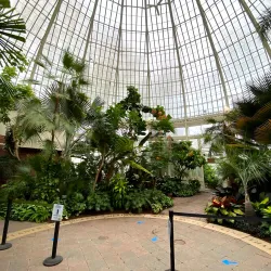 Buffalo and Erie County Botanical Gardens - Buffalo