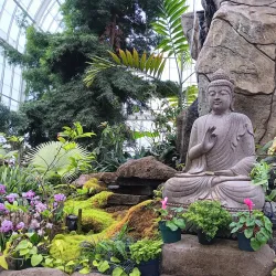 Buffalo and Erie County Botanical Gardens - Buffalo