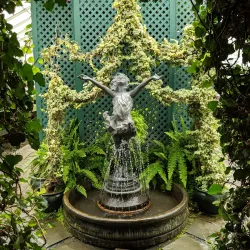 Buffalo and Erie County Botanical Gardens - Buffalo