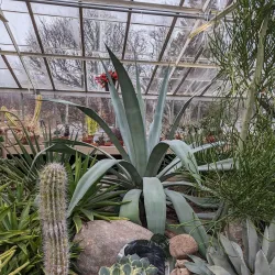 Buffalo and Erie County Botanical Gardens - Buffalo