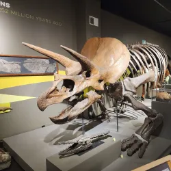 Buffalo Museum of Science - Buffalo