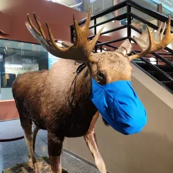 Buffalo Museum of Science - Buffalo