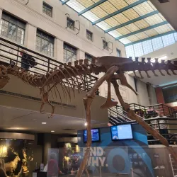 Buffalo Museum of Science - Buffalo