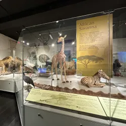 Buffalo Museum of Science - Buffalo