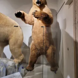 Buffalo Museum of Science - Buffalo