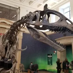 Buffalo Museum of Science - Buffalo