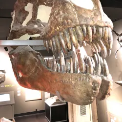 Buffalo Museum of Science - Buffalo