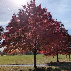 Delaware Park - Buffalo