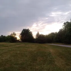 Delaware Park - Buffalo