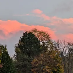 Delaware Park - Buffalo