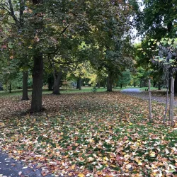 Delaware Park - Buffalo