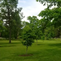 Delaware Park - Buffalo