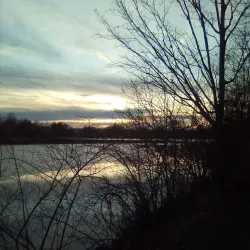 Delaware Park - Buffalo