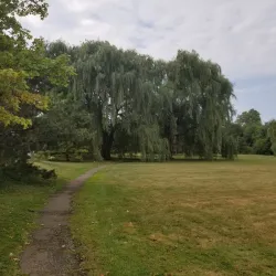 Delaware Park - Buffalo