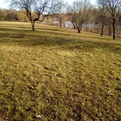 Delaware Park - Buffalo