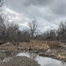 Mills Park - Clifton Park