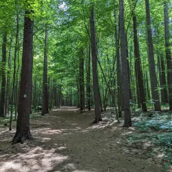 Rail Trail - Clifton Park