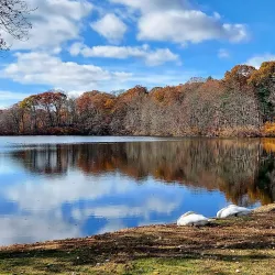 Caleb Smith State Park Preserve - Commack