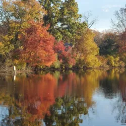 Caleb Smith State Park Preserve - Commack