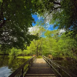 Caleb Smith State Park Preserve - Commack