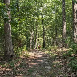 Caleb Smith State Park Preserve - Commack