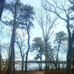 Indian Hills Park - Commack