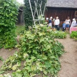 Corning Painted Post Historical Society Museum - Corning