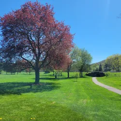 Denison Park - Corning