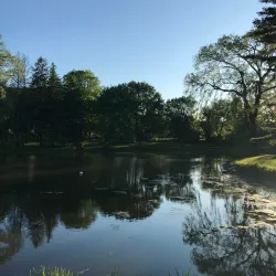 Denison Park - Corning