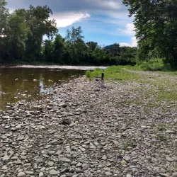 Erwin Park - Corning