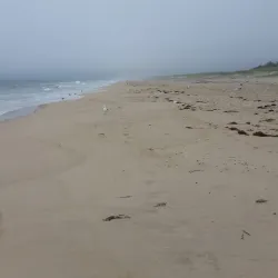 Amagansett National Wildlife Refuge - East Hampton